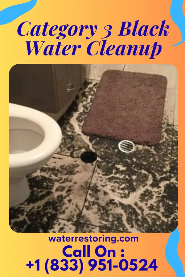 Category 3 Black Water Cleanup in Laughlin AFB, TX