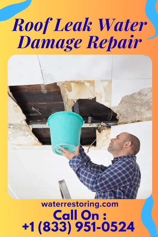 Roof Leak Water Damage Repair in Laughlin AFB, TX
