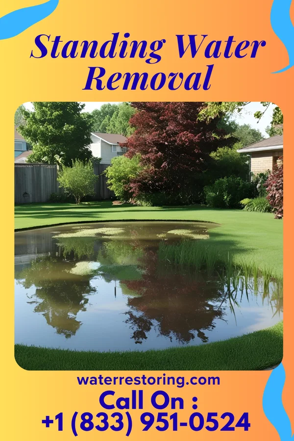 Standing Water Removal in Laughlin AFB, TX